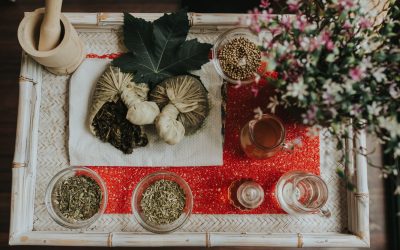 Mit Ayurveda gesund durch den Winter – Tipps der Profis von Ashoka Ayurveda