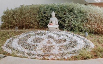 Ayurveda heute: Warum die alte Wissenschaft vom Leben so aktuell ist